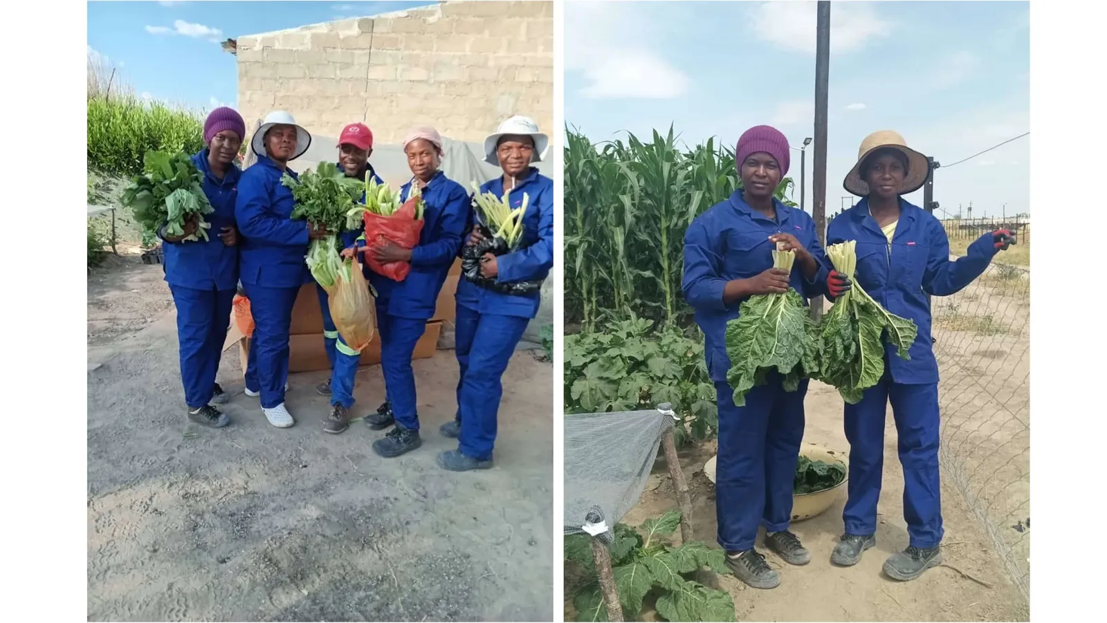 Community members with vegetables from the Namibia Berries garden project