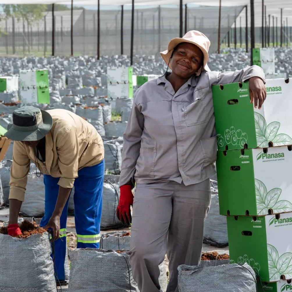 Das Pflanzteam von Namibia Berries